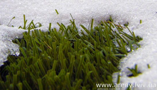 В начале марта газон Арены Львов выведут из "спячки"