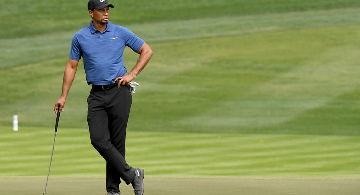 В организме Тайгера Вудса найдено пять медицинских препаратов