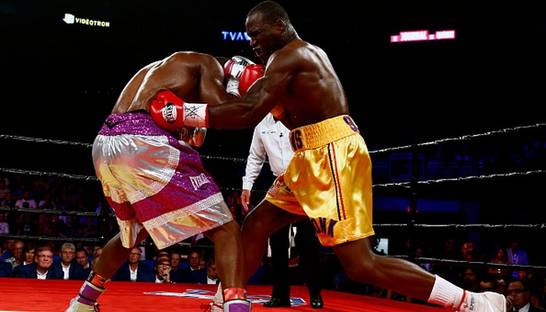 Стивенсон - Вильямс: Видео боя