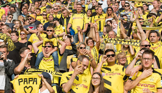 Фанати Боруссии Д бойкотируют выездной матч из-за спонсора команды соперника