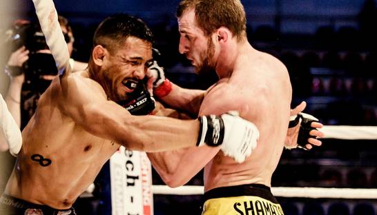 Видео жесткого нокаута в ММА