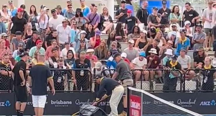 Одна з найотруйніших змій у світі перервала тенісний матч в Австралії