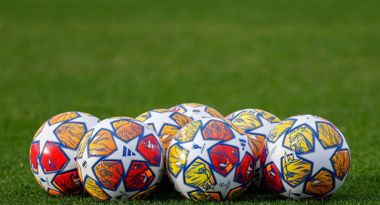 Дизайн із тваринами: УЄФА показав м'яч для плей-оф Ліги чемпіонів