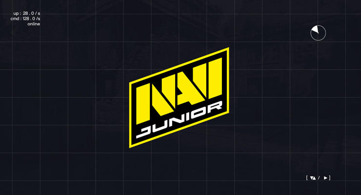NaVi Junior стартуют квалификацию DreamLeague Season 25