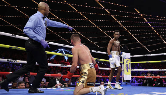 "Никогда не имел проблем с неудобными бойцами": Дэвис оценил свою победу над Беринчиком